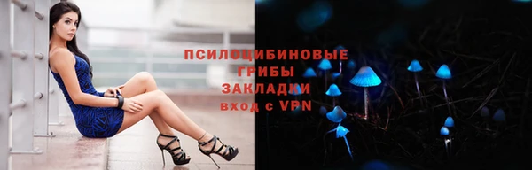 PSILOCYBIN Верхний Тагил