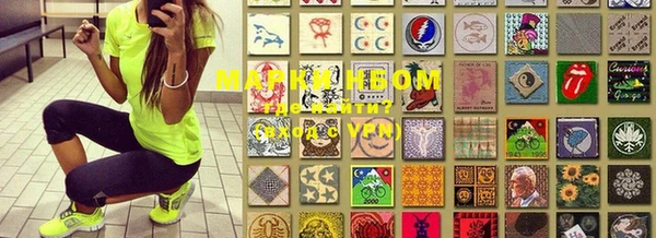 сатива Бронницы