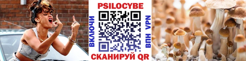 Псилоцибиновые грибы Psilocybine cubensis  Грязи 